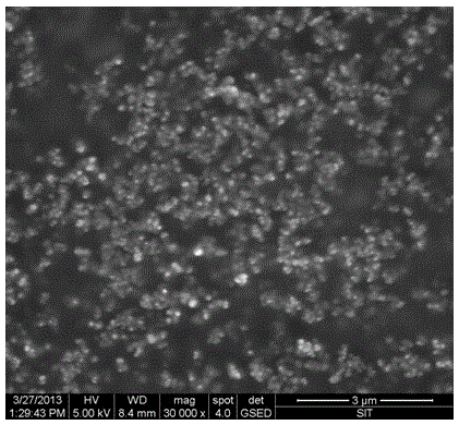 Solid lipid sunscreen particles coated with high-concentration sun screener and preparation method of solid lipid sunscreen particles