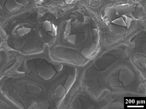 Preparation method of supported photocatalyst Bi2WO6-TiO2/foam metal