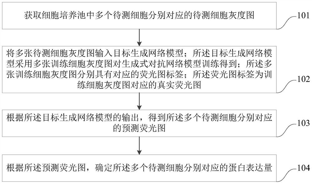 Method, device, computer equipment and storage medium for predicting protein expression