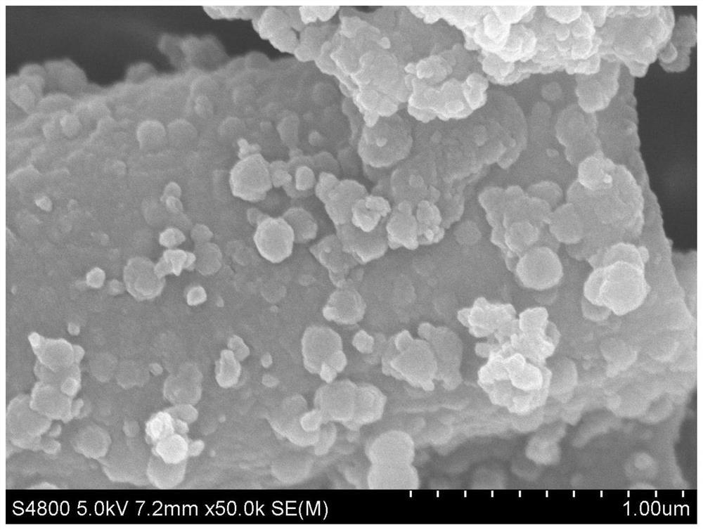 Nitrogen and sulfur co-doped biocarbon/SnO2/SnS/S composite material, preparation method and application