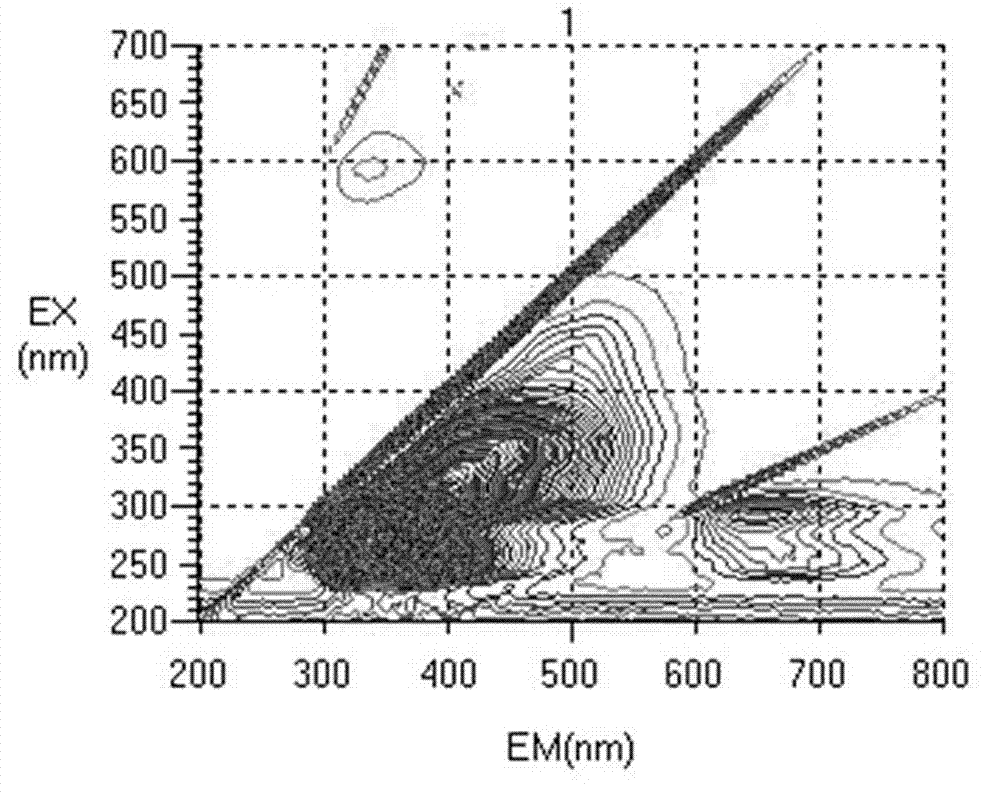 Fluorescence spectrum identification method of Fushunliao schisandra chinensis