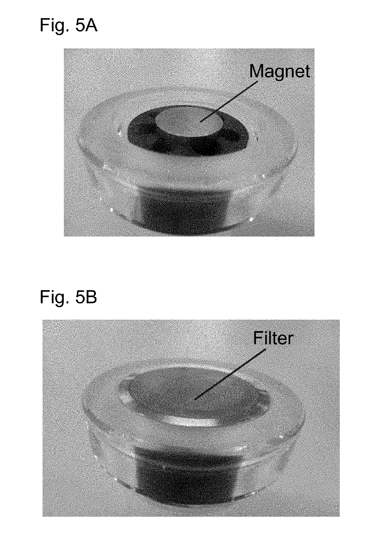 Aligned film and method for producing the same