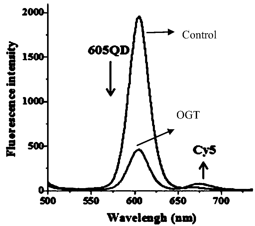 Nano-sensor for detecting O-acetylglucosamine transferase and detection method of nano-sensor