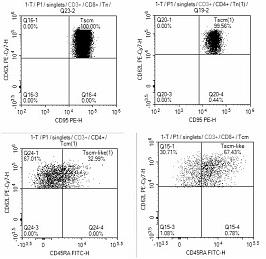 Clinical TSCM (T-memory stem cells) induction culture and quality control identification kit and application