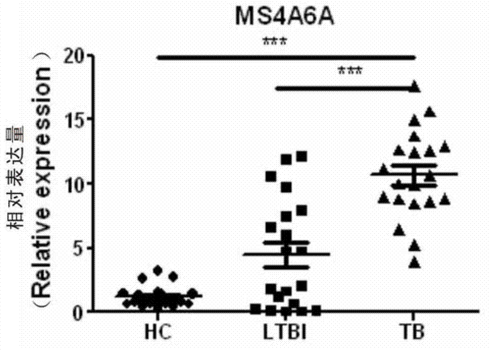 MS4A6A gene application