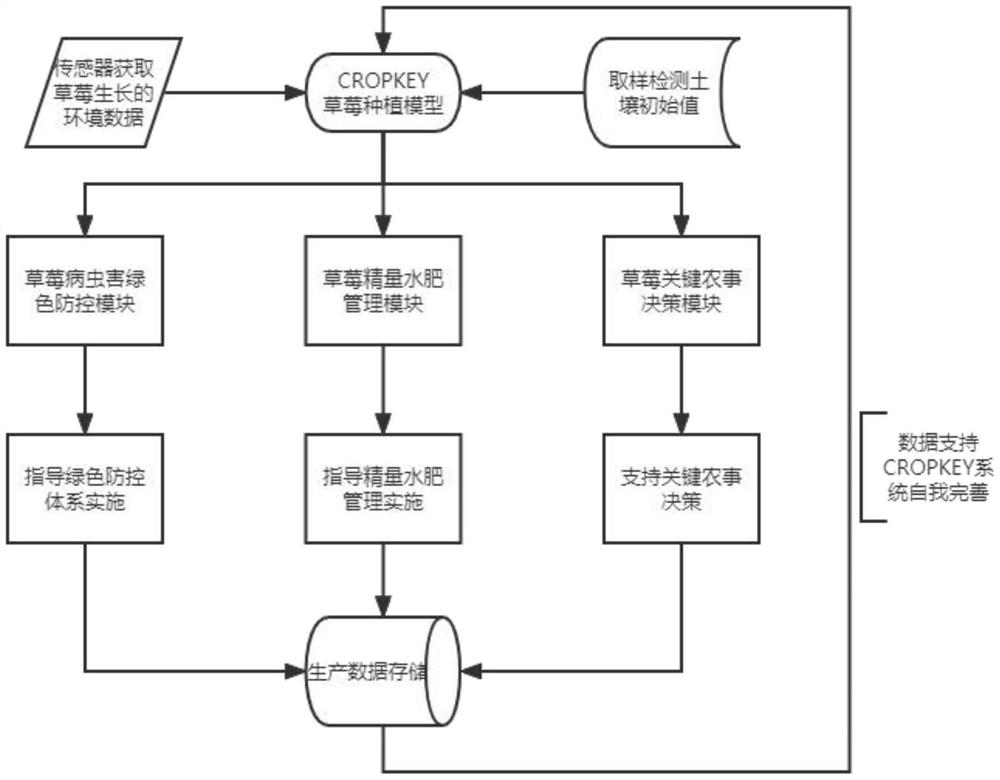 Green strawberry production technology applying Internet of Things technology