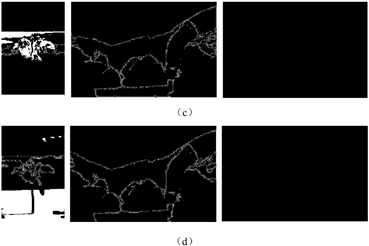 Image segmentation method based on local region homogeneity manifold constrained MRF model