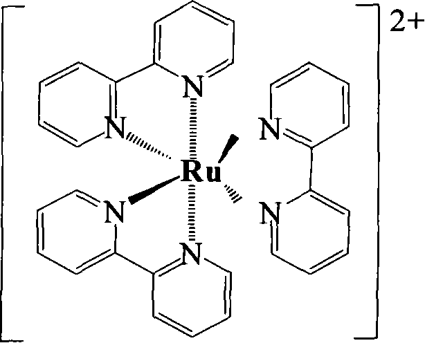 Development of capillary electrophoresis-chemiluminescence detecting device