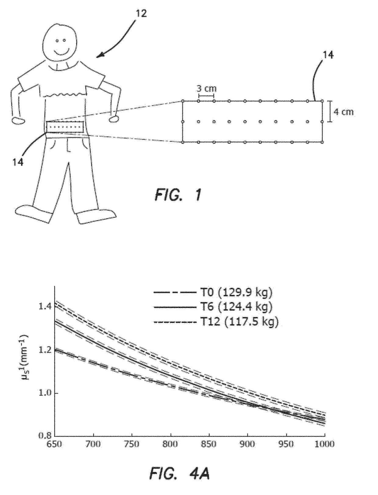 Predicting Weight Loss and Fat Metabolism Using Optical Signal Changes in Fat