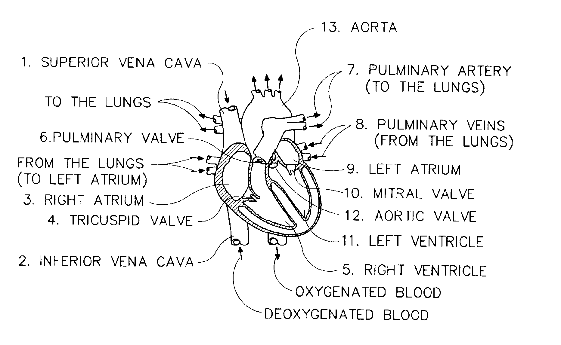 Methods and systems for monitoring respiration