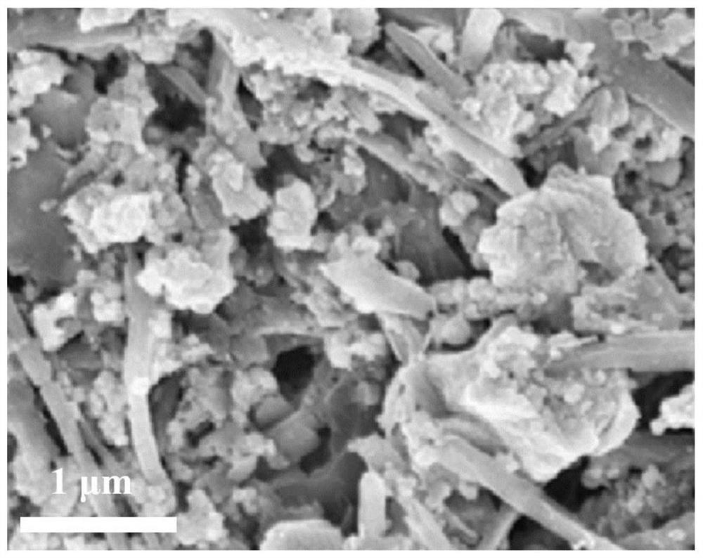 Preparation method and application of nitrogen-doped hollow carbon nanowire grafted polypyrrole