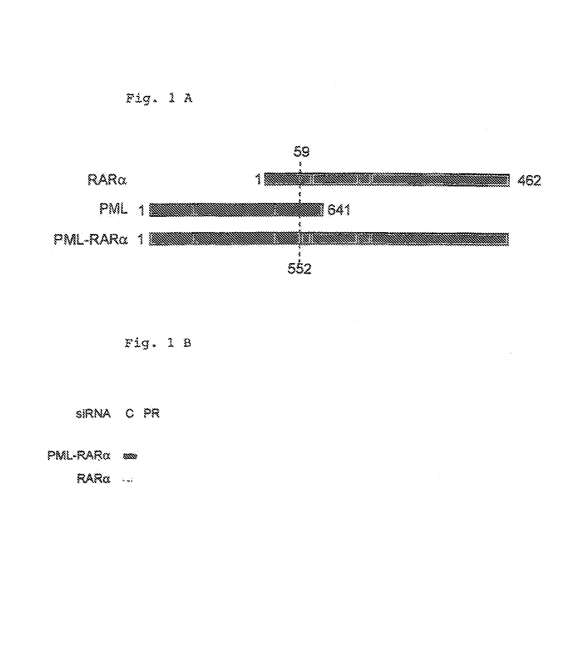 Inhibitor oligonucleotides and their use for specific repression of a gene