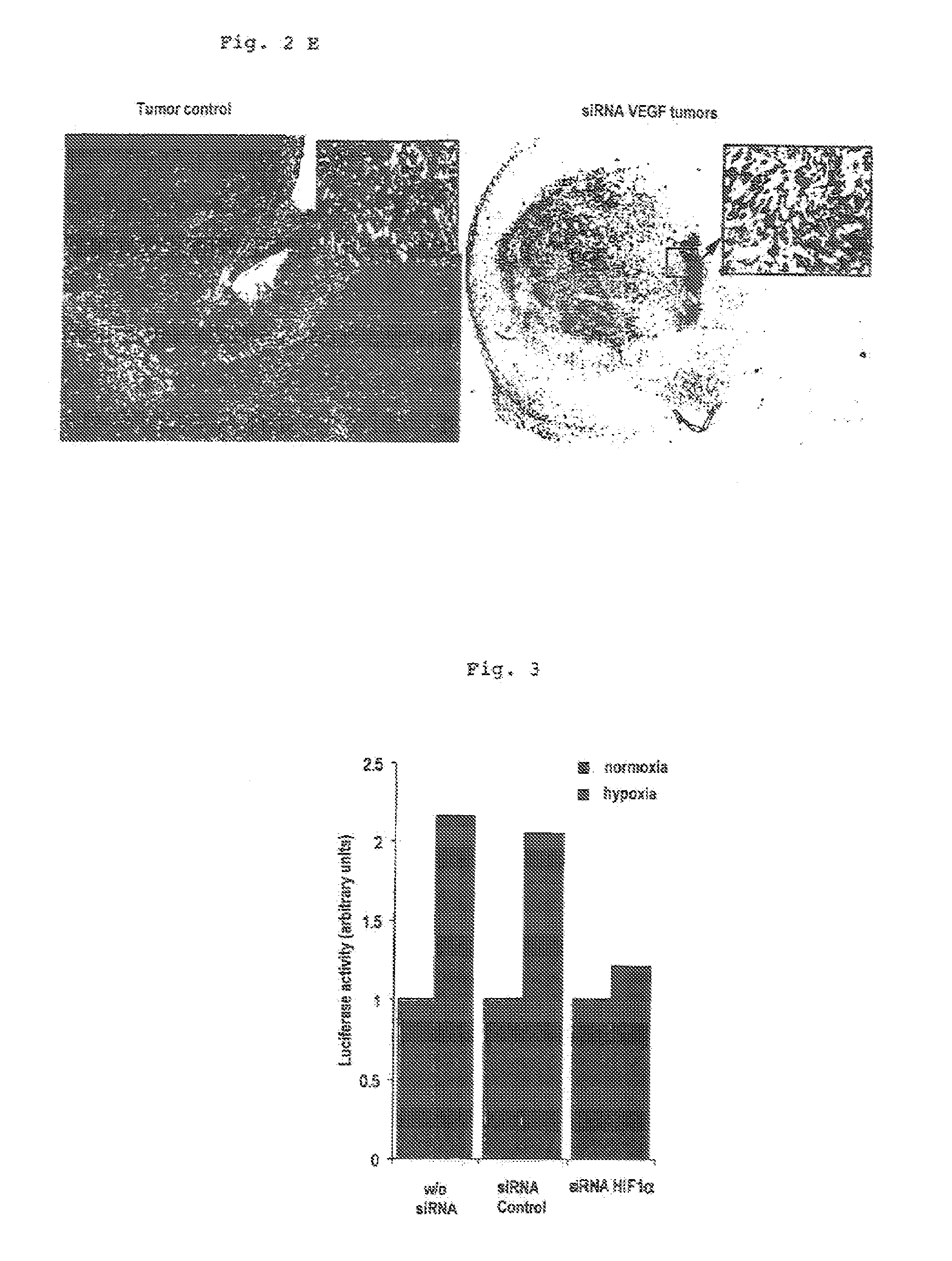 Inhibitor oligonucleotides and their use for specific repression of a gene