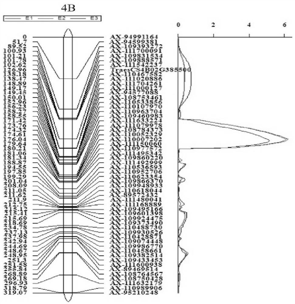 The related gene tadir-b1 of wheat stem rot and its application