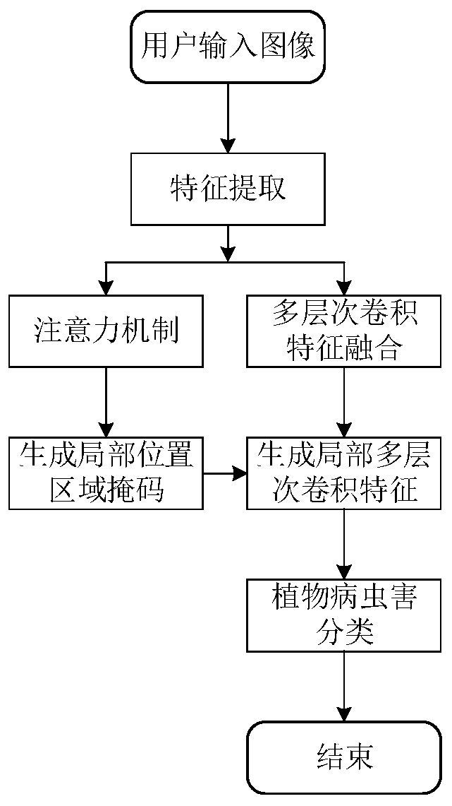 Plant disease and pest identification method based on attention mechanism and multi-level convolution characteristics