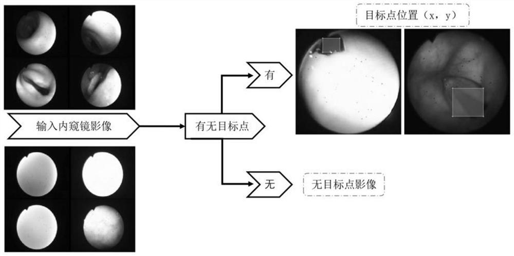 A decision-making method for endoscopic intelligent intubation based on target point detection