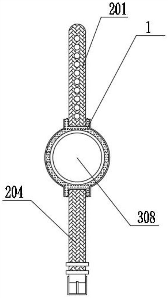 Damping and anti-falling intelligent watch