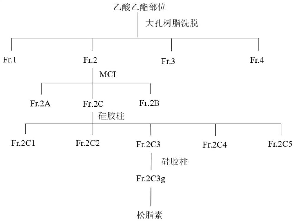 Application of pinoresinol in preparation of medicine for inhibiting thrombosis