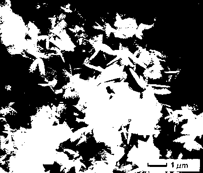 Method for preparing hexagonal molybdenum disulfide nanosheet as anti-friction additive