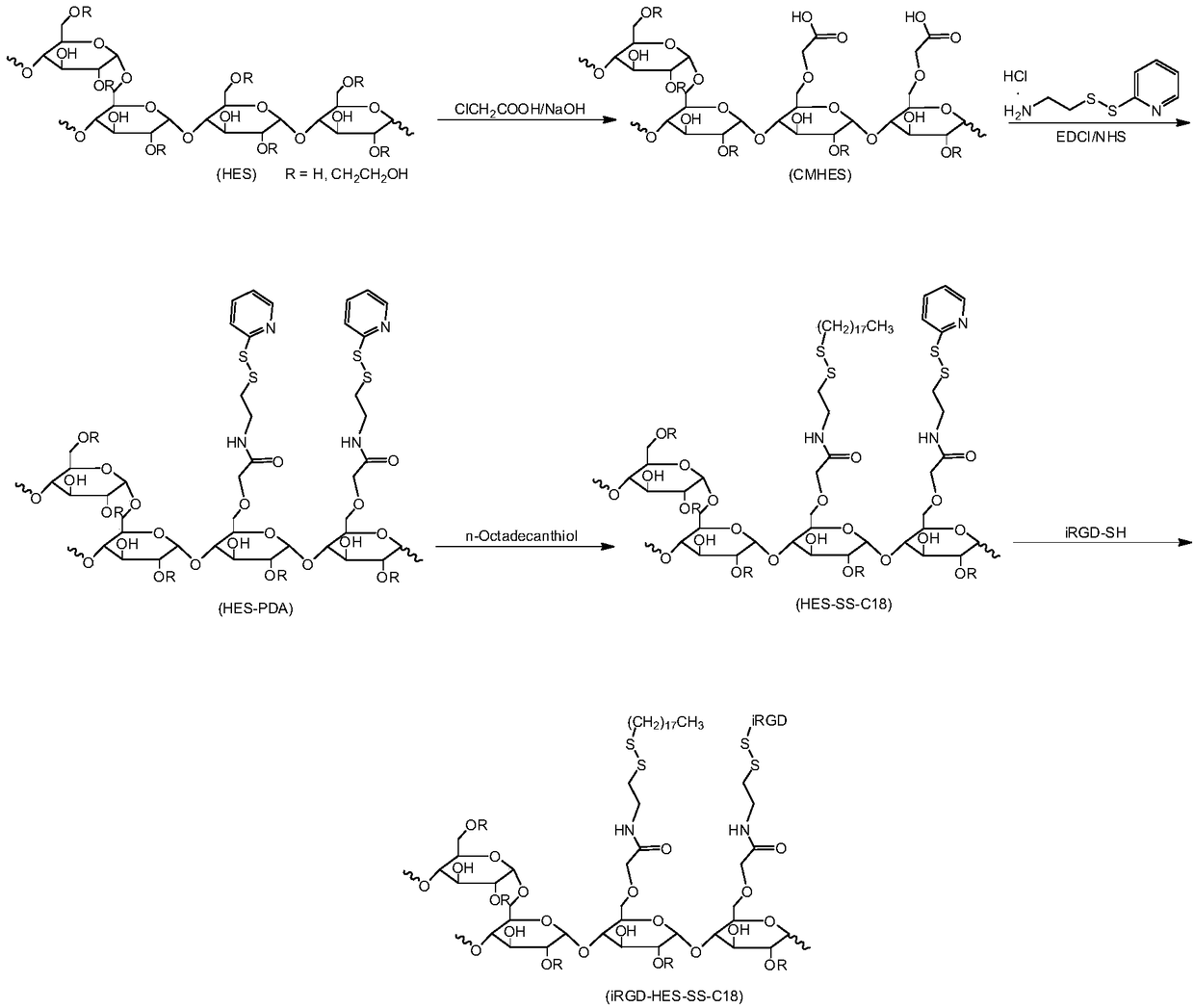 Hydroxyalkyl starch conjugate, and preparation method and application thereof