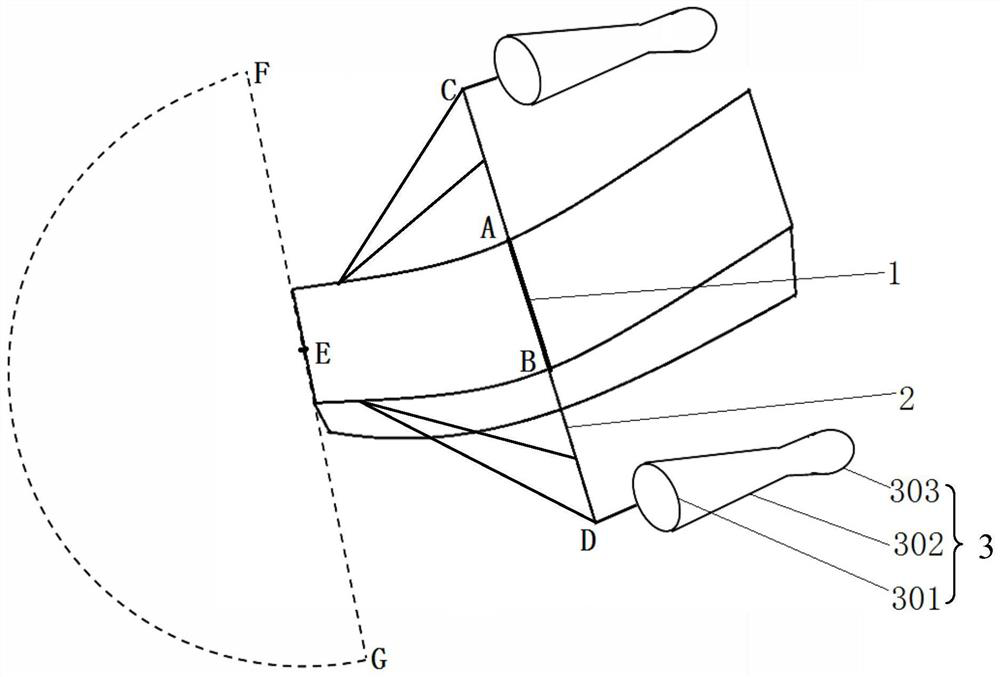 Method for visually measuring umbrella diameter of medium and large jellyfish