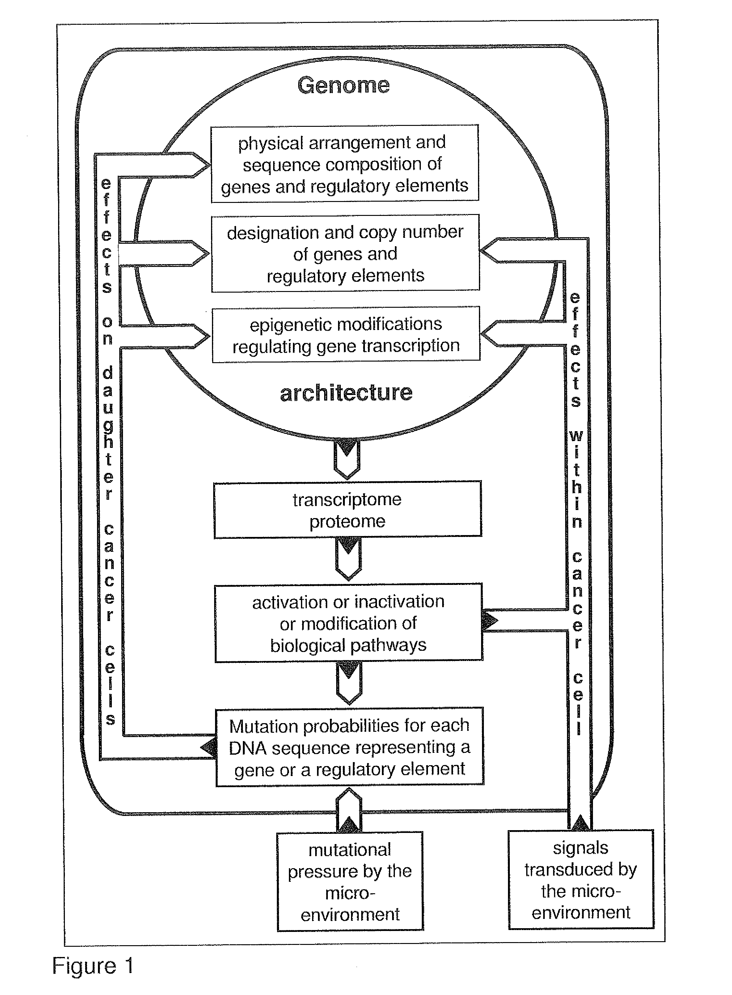 Algorithm for Modification of Somatic Cancer Evolution