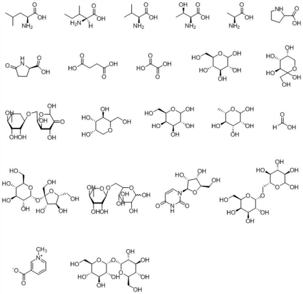 A kind of salvia safflower extract and its preparation method and application