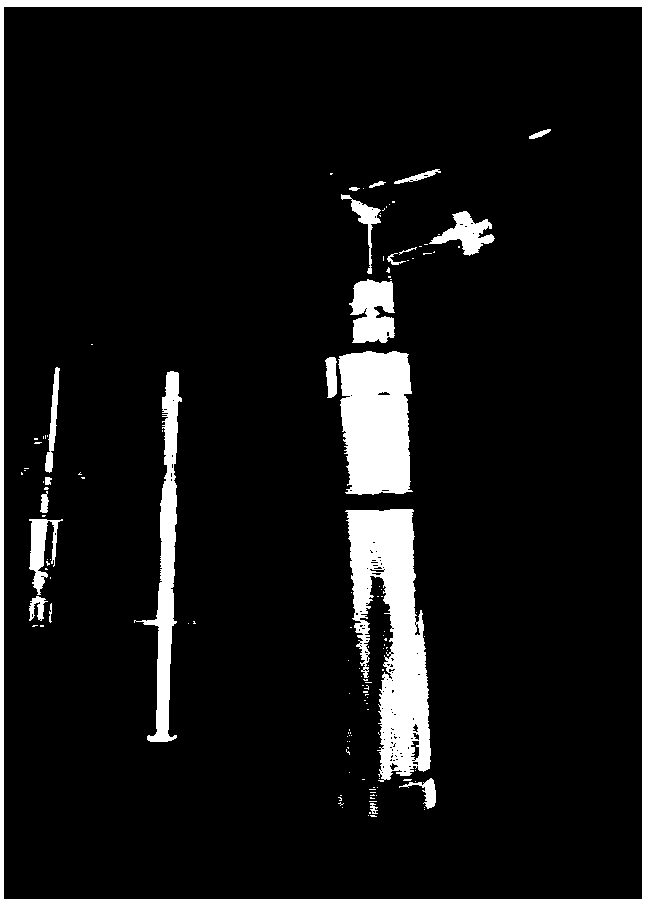 Method for simultaneously constructing experimental models of cryptococcal pneumonia and meningitis