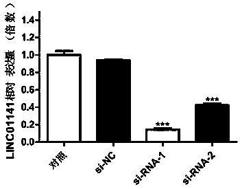 Long-chain non-coding RNA gene marker for detecting liver cancer and application of long-chain non-coding RNA gene marker for detecting liver cancer