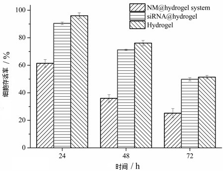 Preparation method of nanomotor-hydrogel system for gene-targeted therapy