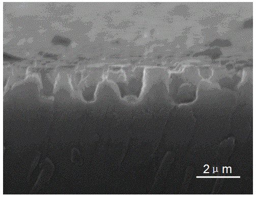 Preparation method of light diffusion sheet with random micro/nano hybrid structure