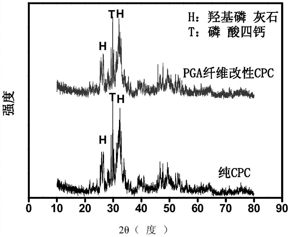 Surface modification fiber-reinforced composite bone cement as well as preparation method and application thereof