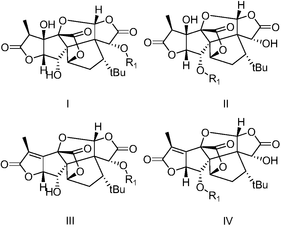 Ginkgolide derivative and application thereof