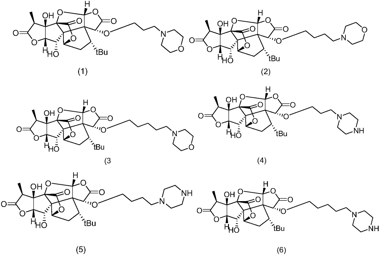 Ginkgolide derivative and application thereof