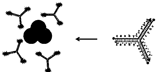 for hg  <sup>2+</sup> Colorimetric and fluorescent dual-signal biosensor for detection and detection method