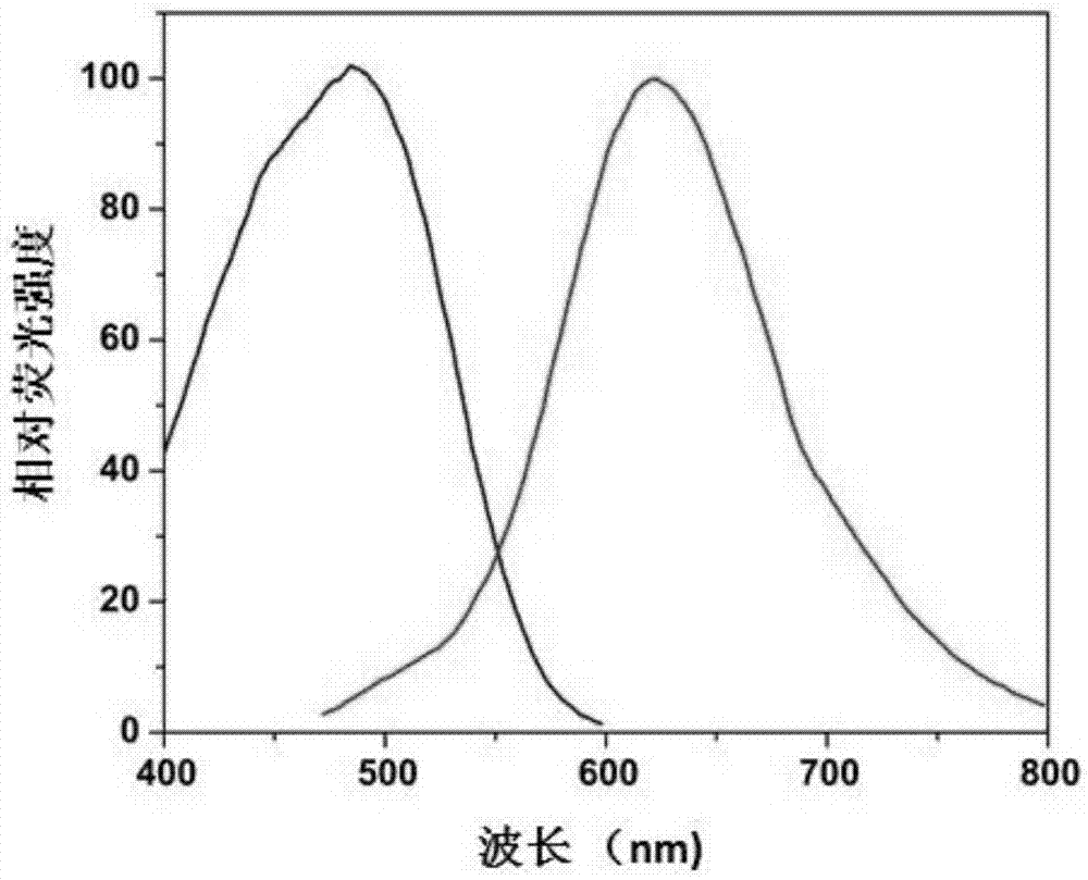 Water-soluble fluorene compound and application thereof in protein analysis