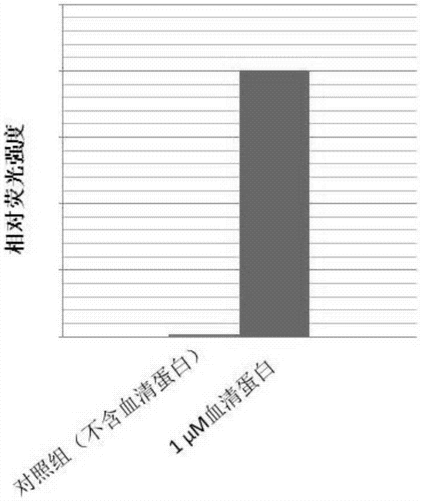 Water-soluble fluorene compound and application thereof in protein analysis