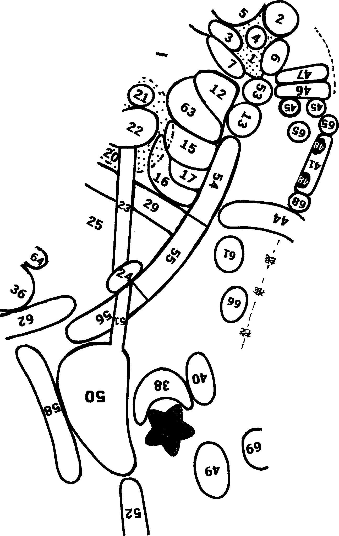 Method for producing socks with foot reflective zone position mark and its socks