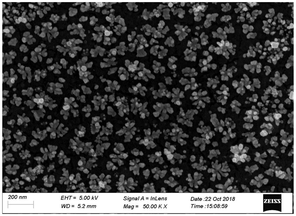 A kind of silver nanoflower composite graphene SERS substrate and its preparation method and application