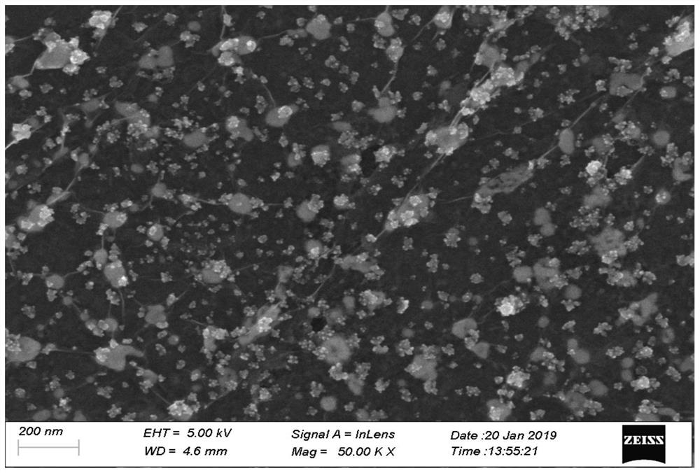 A kind of silver nanoflower composite graphene SERS substrate and its preparation method and application