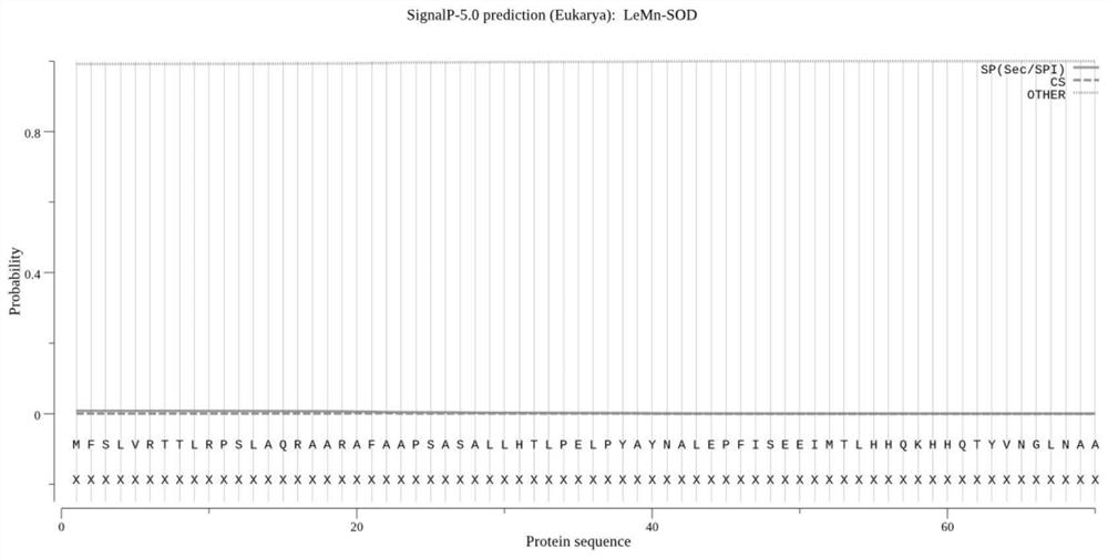 Application of lentinus edodes manganese superoxide dismutase LeMn-SOD to improving stress resistance of microorganisms