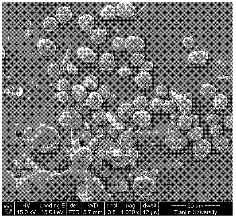 Long-acting sustained-release wound dressing containing levofloxacin sustained-release microspheres, and preparation method thereof