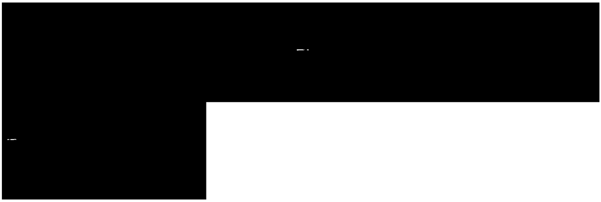 Improved promoter, vector formed by improved promoter and application of improved promoter