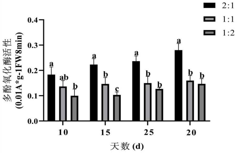 Sandy soil-clay mixing method suitable for plant growth of strip mine dump