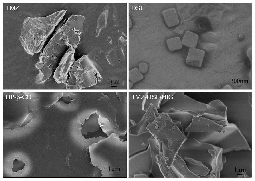 Ion-sensitive nasal in-situ gel carrying temozolomide and disulfiram as well as preparation method and application of ion-sensitive nasal in-situ gel