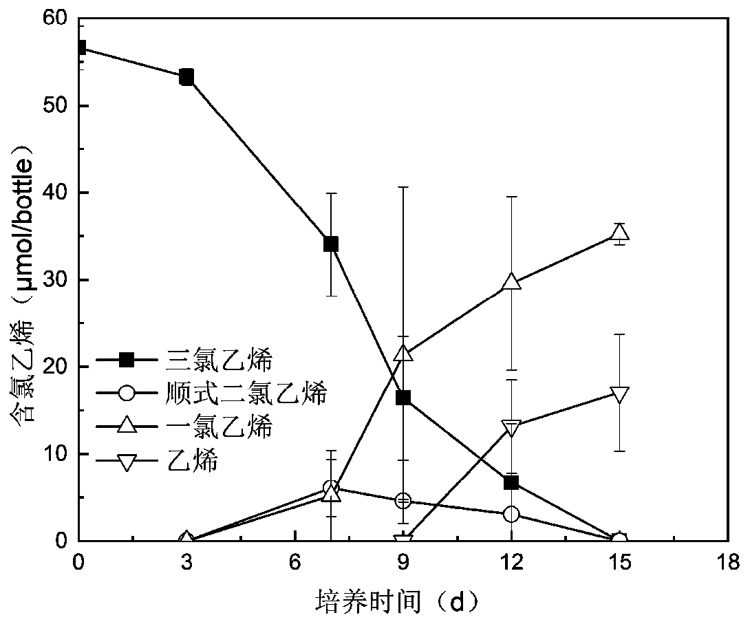 Preservation method of anaerobic dehalogenated microorganisms and application of preservation method