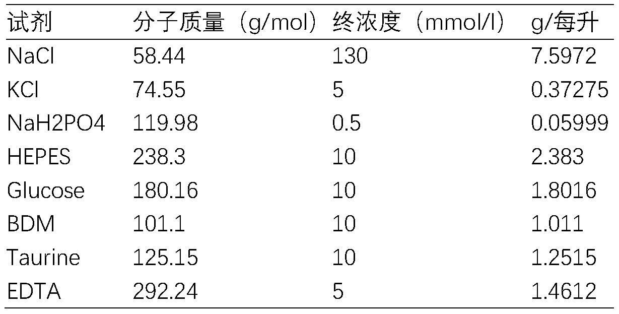 Adult mouse myocardium separation device