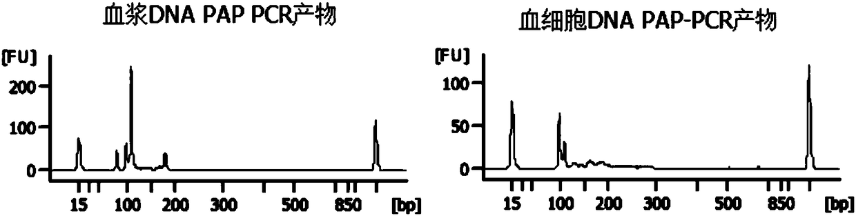 High-specificity multiplex-PCR (polymerase chain reaction) detection method for base mutation