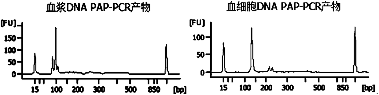 High-specificity multiplex-PCR (polymerase chain reaction) detection method for base mutation