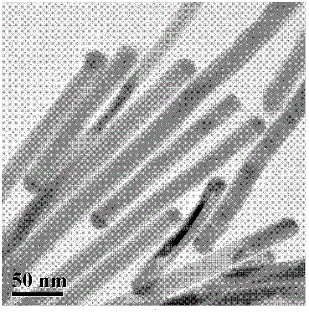 Solution phase method for synthesizing tin selenide monocrystal nanowire